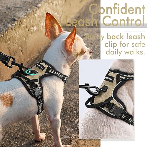 rabbitgoo Dog Harness, No-Pull Pet Harness with 2 Leash Clips, Adjustable Soft Padded Dog Vest, Reflective No-Choke Pet Oxford Vest with Easy Control Handle for Small Dogs, Wild Lime,S