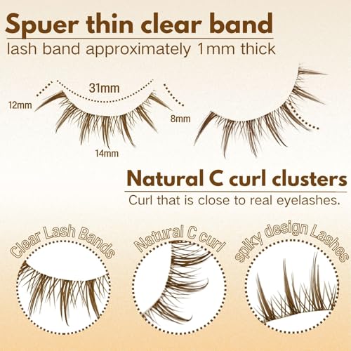 10 Pairs Brown False Lashes with Clear Band - Wispy Natural Look