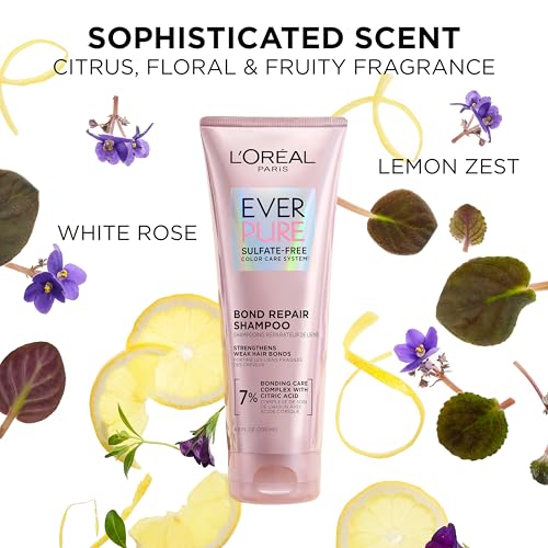 L'Oreal Paris Sulfate Free Bond Repair+ Shampoo,Hair Shampoo with Amino Acid Complex,Strengthens and Repairs Damaged or Color Treated Hair,EverPure,23 Fl Oz (Packaging May Vary),(Pack of 2)