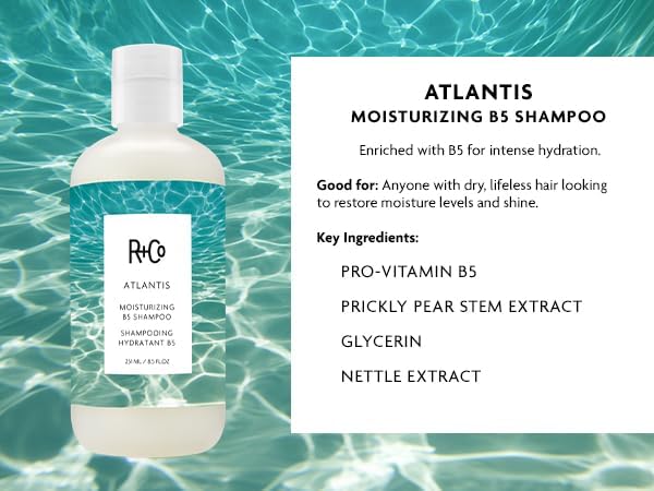 R+Co Atlantis Moisturizing B5 Shampoo & Conditioner Set - Dry Damaged Hair, 8.5oz (2 Pack)