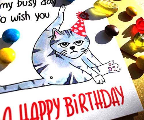 Taking Time out of My Busy Day to Wish You a Happy Birthday Handmade Card, Funny Bday Gift for Cat Mom, Cat Dad or Cat Lover