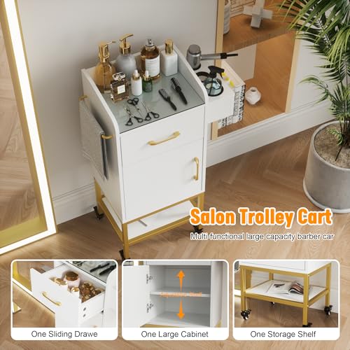 TOVRON Glass Top Salon Trolley Cart with Storage & Lockable Wheels