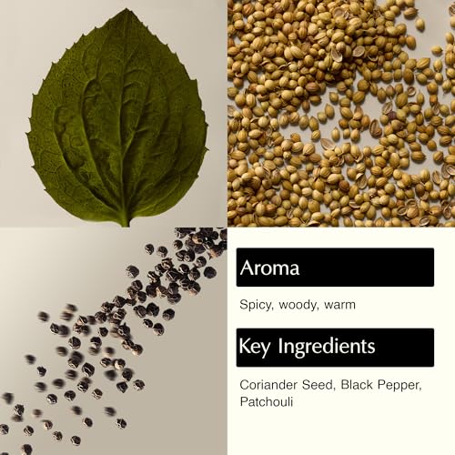 Aesop Coriander Seed Body Cleanser | Low-Foaming Shower Gel with Coriander & Black Pepper Essential Oil Blend to Cleanse & Hydrate Skin | 500 mL / 16.9 oz