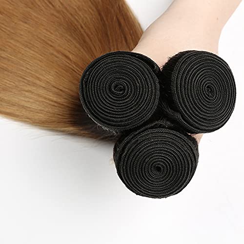Ombre Straight Human Hair Bundles 1B/27 Honey Blonde 3 Pack