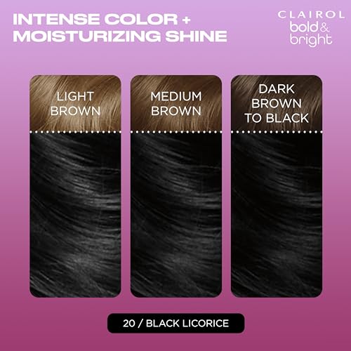 Clairol Bold & Bright Permanent Hair Dye Black Licorice 5.48 oz (20 Black) – Color Kit