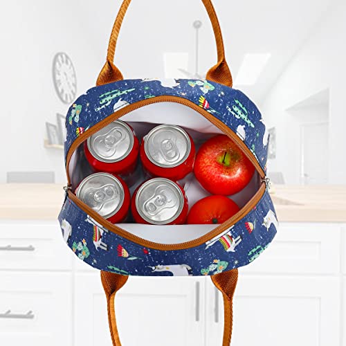 FlowFly Lunch Bag Tote Bag Lunch Organizer Lunch Holder Insulated Lunch Cooler Bag for Women/Men,Owl