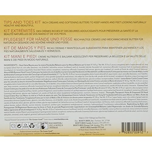Burt's Bees Tips and Toes Kit - 6 ct - 2 pk
