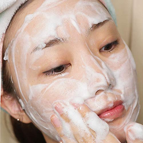 THANKYOU FARMER Back To Iceland Cleansing Foam 4.22 Fl Oz (120ml) - Pore Cleansing, Moisturized-Finish, Mens Face Wash, Face Cleanser, Face Wash For Women, Face Wash For Oily Skin
