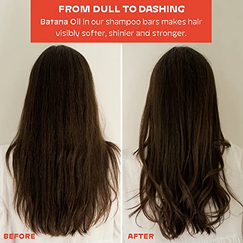 NOLE CARE Sustainable Bar Shampoo and Conditioner (2 pack) with Coconut & Batana Oil, for Frizz - Sustainable, PH Balanced, Sulfate Free, Plastic Free - 5.12 Oz