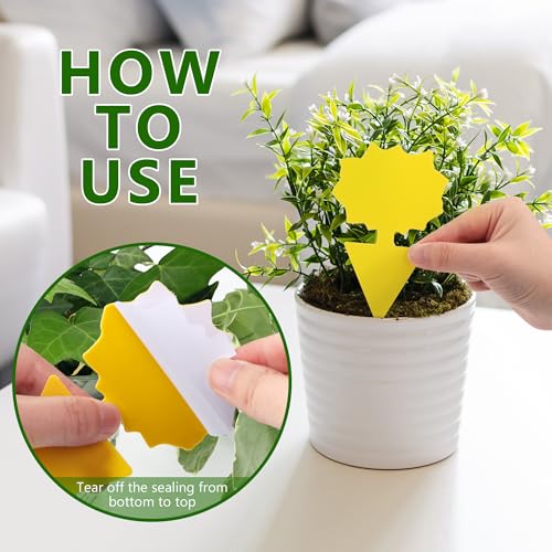 Landisun 24PCS Fruit Fly Traps Yellow Sticky Traps Fungus Gnat Traps Insect Bug Traps for Indoor Outdoor Kitchen Plants Whitefly Mosquitos Fungus Gnats Flying Insects