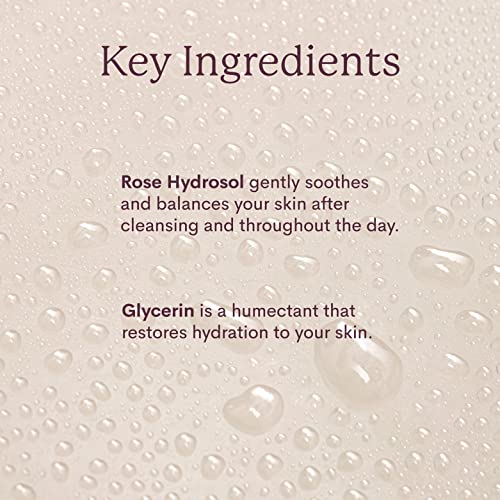 Rosewater Toner | 100% Vegan & Cruelty Free | Hydrating Rose Water Spray Mist | Alcohol Free | Refreshing Facial Toner for All Skin Types | Rose and Shine by Fleur & Bee - 3.4 fl oz