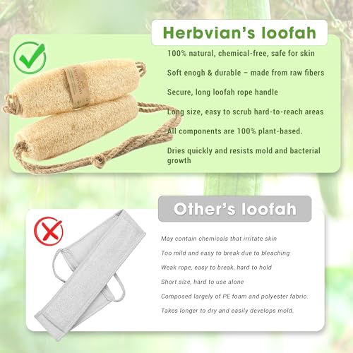 Vietnamese Natural Loofah Exfoliating Body Scrubber Pads, Dish Wash Sponges and Whole Gourd Back Exfoliate