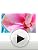 Ralph Lauren Ralph Eau de Toilette for Women