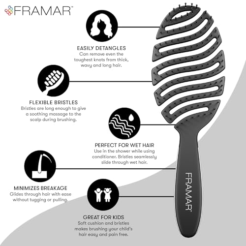 FRAMAR Vented Hair Brush for Women - Detangler & Blow Dry Styling Tool