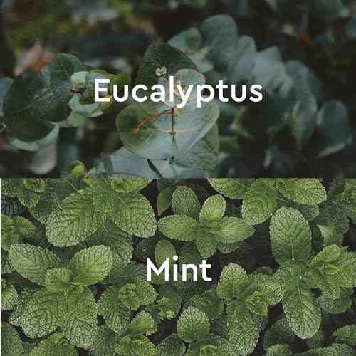 Kneipp Under The Weather Eucalyptus Aromatherapy Bubble Bath - Good for Respiratory Wellness - Vegan - Sulfate Free - 13.5 fl oz - Up to Eight Baths