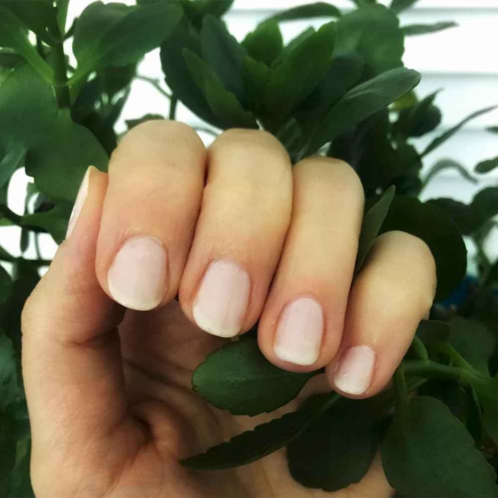 Dazzle Dry Nail Lacquer (Step 3) - Rose Quartz - A light peach blossom semi-sheer with pink blush. (0.5 fl oz)