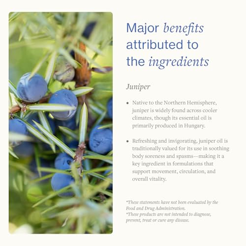 Juniper Massage Cream, 96g. Soothes Muscle & Joint Pain. Pre-Workout & Post-Work Out Body Cream. Herbal Body Cream for Elderly People by Swiss Just.