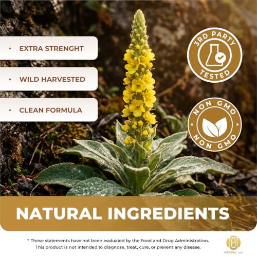 HEBS LAB Mullein Leaf Extract 4 Fl Oz Lung Support Herbal Supplement for Respiratory Health