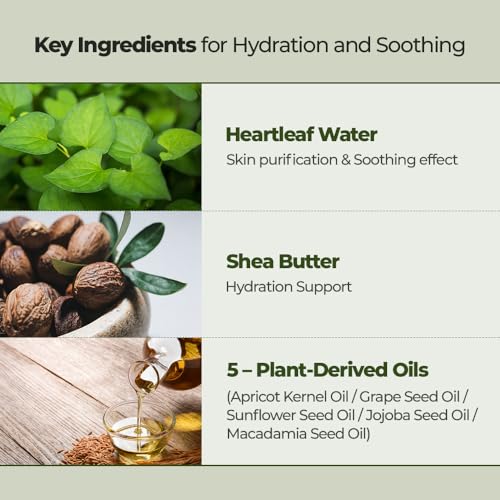 JMsolution Heartleaf Lip Sleeping Mask ? Overnight Repair Lip Balm with Houttuynia Cordata & Shea Butter ? Soothing & Hydrating Care for Dry, Chapped, and Sensitive Lips (20g / 0.70 oz)