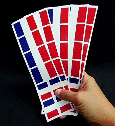 40 France Temporary Tattoos - French Flag Party Favors