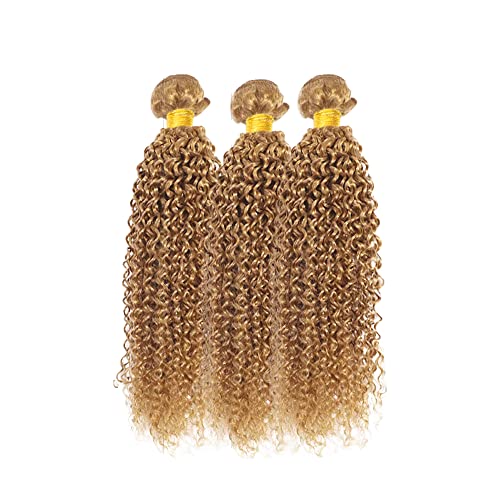 DiexrLamx 27-Blonde J Color 30-34 Inch Honey Blonde Kinky Curly Human Hair Bundles