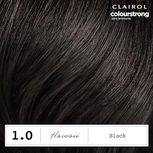 Clairol ColorStrong Permanent Hair Dye Black Ammonia-Free 1.0 - Gray Coverage