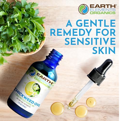 Chickweed Oil, Herbal Remedy Infused in Sunflower Seed Oil, Organic Skincare for All Skin Types - 1 fl oz