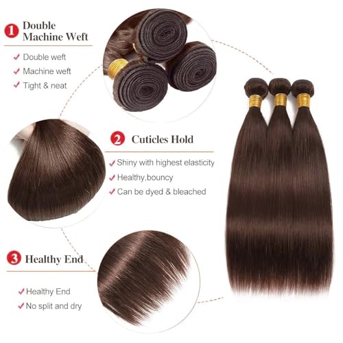 AuokMar 12-34 Inch Chocolate Brown Human Hair Bundles - Straight 3 Pack, 160g
