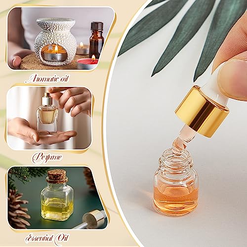 100 Pcs Mini Glass Oil Dropper Bottles with Caps - 1/5/10/15ml