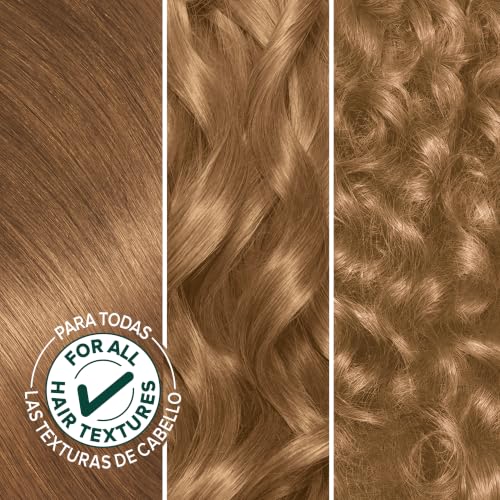 Garnier Nutrisse Ultra Crème Hair Color 70 Dark Natural Blonde Almond Creme 1 Count