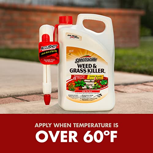 Spectracide Weed & Grass Killer with AccuShot Power Sprayer 1 Gal (Pack of 4)