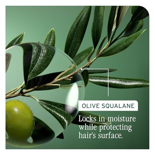 Biolage Strength Recovery Conditioner - Moisturizes & Strengthens Damaged Hair, Softness & Shine, Hydrates and Repairs Damaged Hair, With Olive Squalane & Vegan Proteins, Paraben-Free, Vegan
