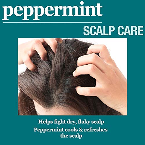 Difeel Peppermint Scalp Care Hair Oil 7.1 Ounces