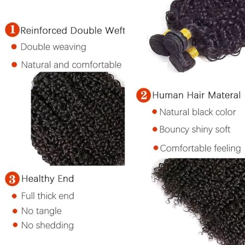 Deep Curly Wave Human Hair Bundles - 16, 18, 20 Inch, 300g