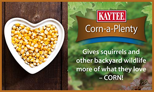 Kaytee Corn A Plenty Treat Seed Cake Food for Wild Squirrels, Chipmunks, Rabbits & Other Backyeard Wildlife, 2.5 Pounds