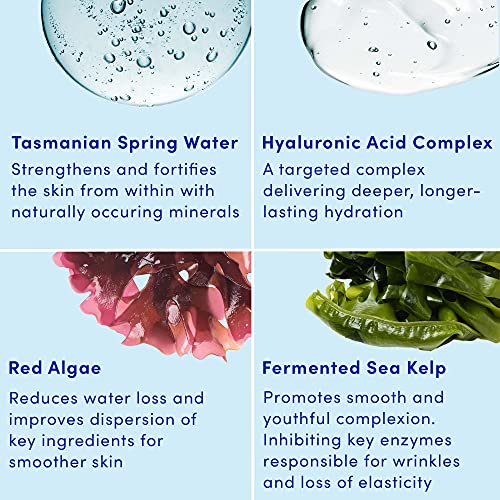 Sand & Sky Face Moisturizer Hyaluronic Acid Gel Cream - Tasmanian Spring Water Hydration Boost, Lightweight Water Cream for Dry Skin, Red Algae Skin Barrier Protection, Australian Skincare, 1.7 oz