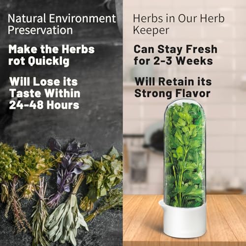 UEOZ 3PCS Herb Keeper for Refrigerator - Fresh Cilantro & Vegetable Storage Container Set