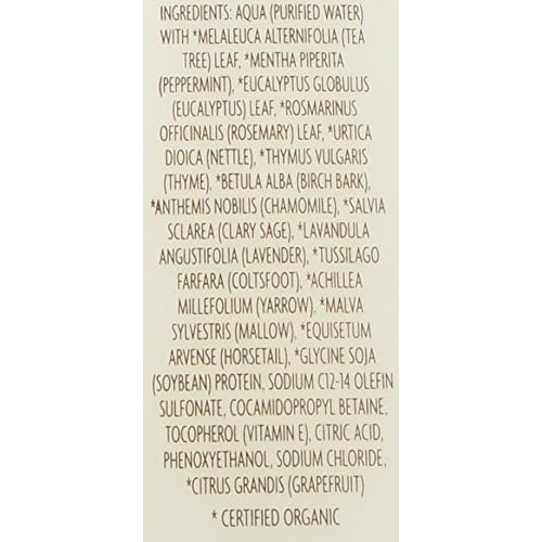 Trader Joe's Tea Tree Tingle Shampoo with Peppermint, Tea Tree and Eucalyptus Botanicals, 16-Ounces
