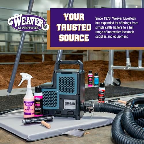 Weaver Leather Livestock Swine Conditioner and Shine