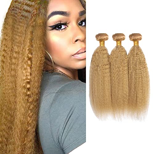 Honey Blonde Brazilian Hair 3 Bundles Kinky Straight Extensions