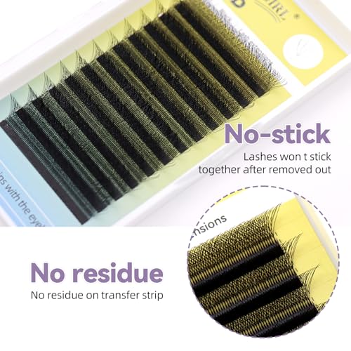 5D W Lash Extensions 0.07mm Premade Volume Fans D Curl 11mm