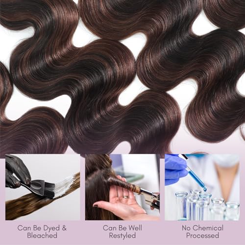 12A Brown Body Wave Bundles Human Hair 18 Inch, 100% Virgin Brazilian Real Hair Wavy Weave Color #F2/4 Rich Dark Brown with Chestnut Ombre Highlights Human Hair Single Bundles Thick Track Sew in