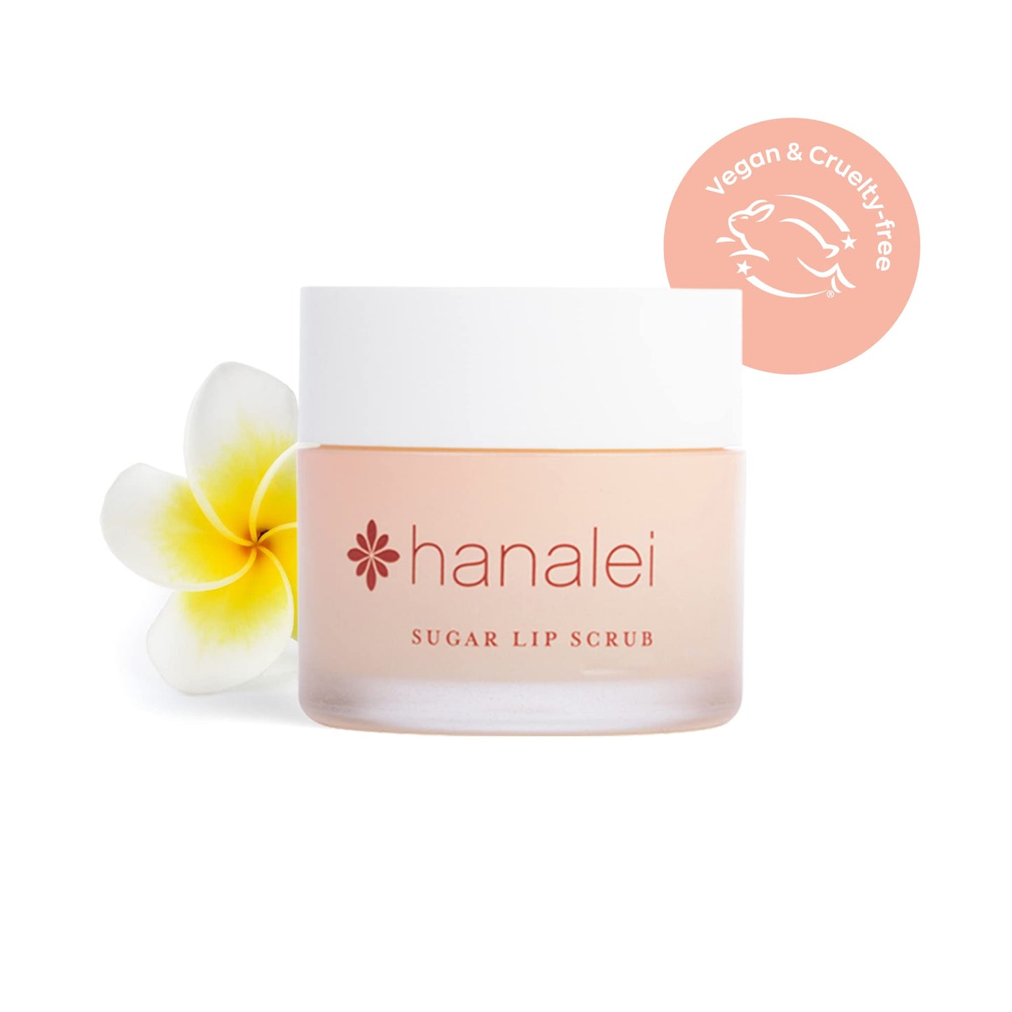 Hanalei Vegan and Cruelty-Free Sugar Lip Scrub Exfoliator | Hawaiian Cane Sugar, Kukui Oil, Shea Butter | Exfoliate, Smooth, Rejuvenate Lips | Made in USA | Lip Care (22 g)