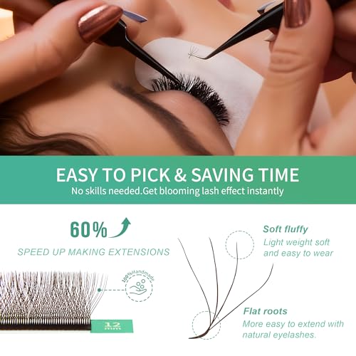 4D W Lash Extensions 0.07mm C Curl 9-13mm Brown