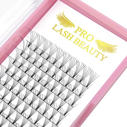 Premade Fans Eyelash Extensions 6D-C-0.10-16 Short Stem Premade Volume Eyelash Extensions .07 .10 C D Curl Pre made Lash Fans 9 to 20 mm Volume Lash Extensions (6D-C-0.10,16mm)