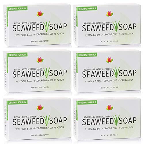 Reviva Seaweed Soap - 6 Pack - Organic Seaweed Face Scrub and Exfoliating Body Scrub Soap Bar - 4.5 oz. Vegetable Base Natural Bar Soap and Seaweed Bath Detox Soap Made in the USA