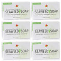 Reviva Seaweed Soap - 6 Pack - Organic Seaweed Face Scrub and Exfoliating Body Scrub Soap Bar - 4.5 oz. Vegetable Base Natural Bar Soap and Seaweed Bath Detox Soap Made in the USA