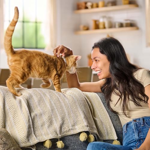 Meow Mix Original Choice Dry Cat Food, 6.3 lb Bag