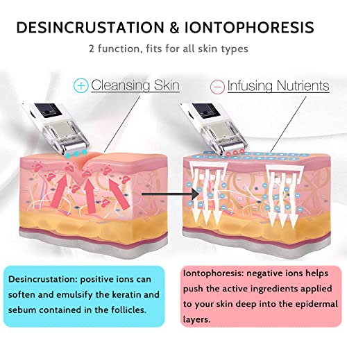 Portable Galvanic Microcurrent Face Lift Massager | Anti-Aging Skin Firming