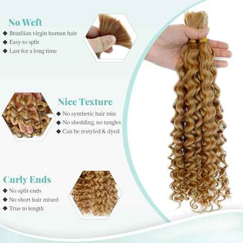 Human Braiding Hair for Boho Braids Bohemian 24 Inch Curly Boho Hair for Braiding Knotless Deep Water Wave Bulk Human Hair for Braiding No Weft 2 Bundles/Pack 100G Full Head